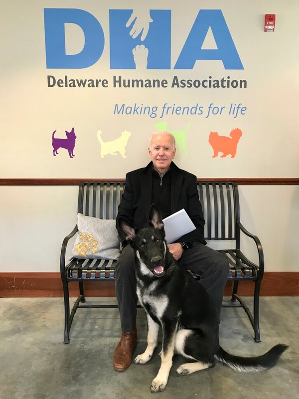 사진=Delaware Humane Association