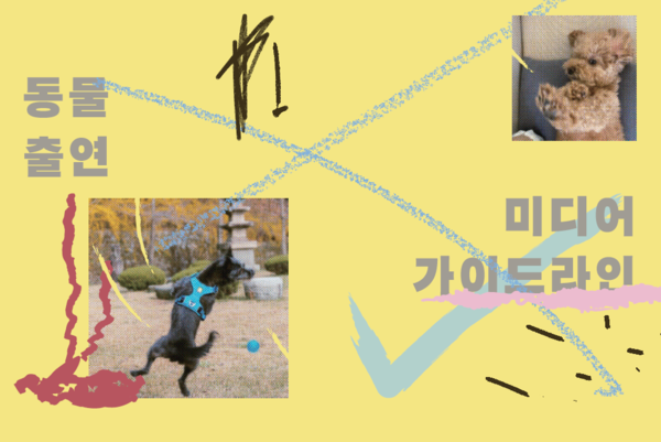 '동물 출연 미디어 가이드라인 : 어떠한 동물도 해를 입지 않았습니다'를