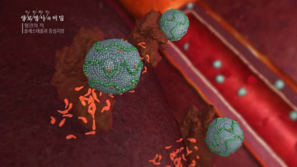 (사진=KBS 생로병사의 비밀 유튜브 캡처)