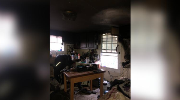 불 속에 뛰어들어 보호소 동물 16마리 모두 구한 노숙자