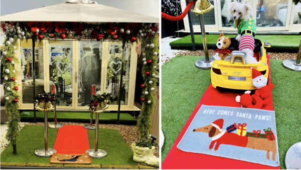 반려견 크리스마스 선물로 '천만 원' 쓴 영국 여성