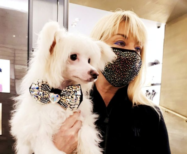 반려견 크리스마스 선물로 '천만 원' 쓴 영국 여성