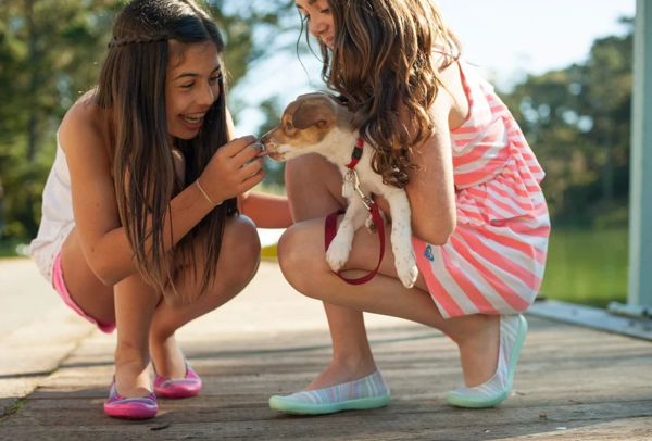 강아지는 어떤 사람을 좋아할까?(+싫어하는 유형)