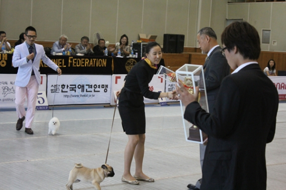 2010 KKF 챔피언쉽 도그쇼 발안 바이오 과학 고등학교에서 개최