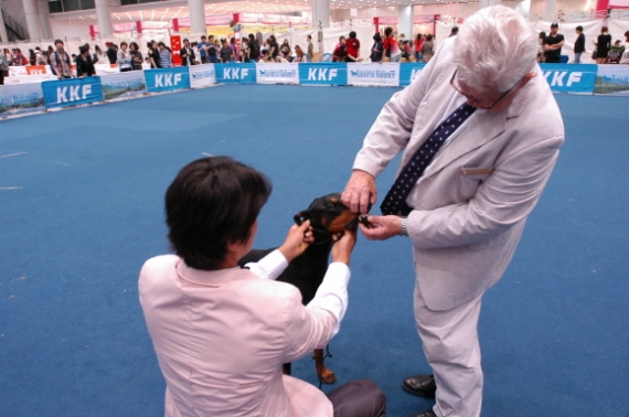 대구 애완동물전 성황리에 열려....
