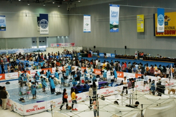 대구 애완동물전 성황리에 열려....