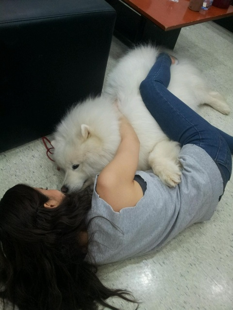 백지영, 대기실 바닥에서 애완견과 누워 장난