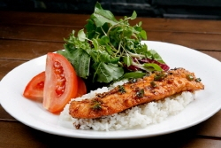 탐방] 반려견과 함께하는 애견동반 레스토랑 퍼시픽 아일랜드