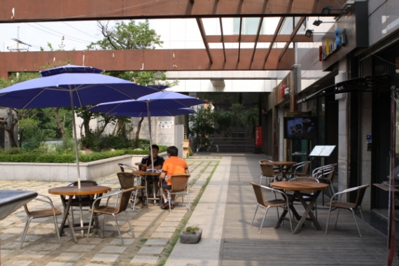 탐방] 반려견과 함께하는 애견동반 레스토랑 퍼시픽 아일랜드