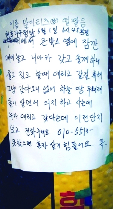 폐지 할머니 잃어버린 강아지 찾아, 트위터의 힘 실감