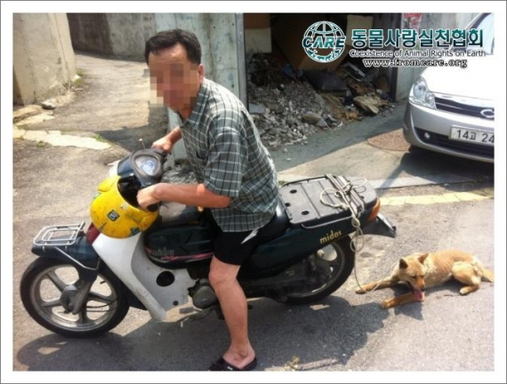개를 오토바이에 묶고 질주, 이번엔 악마 시티백?