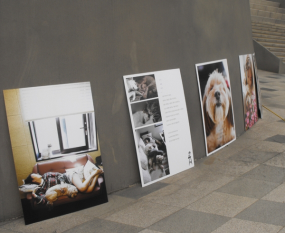 효리랑 순심이랑 『가까이』바자회 열려