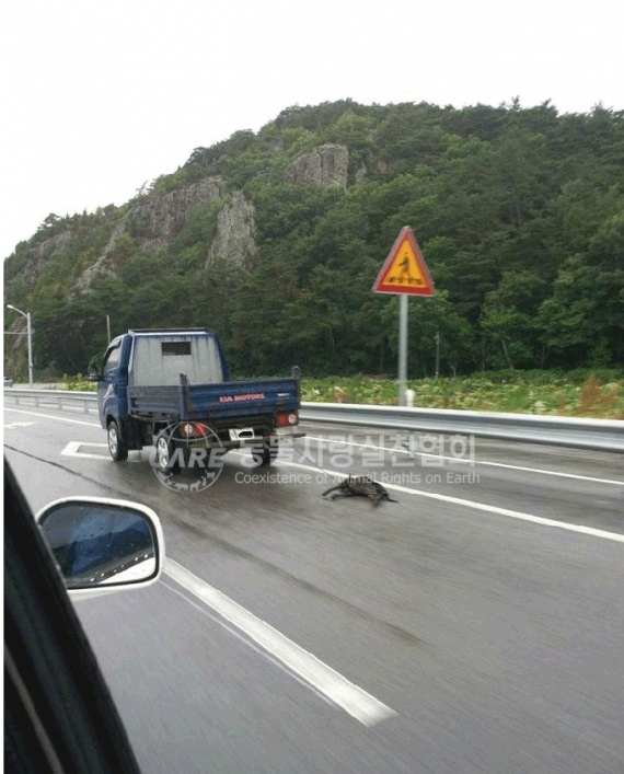 동물보호법 개정위한 서명운동 진행
