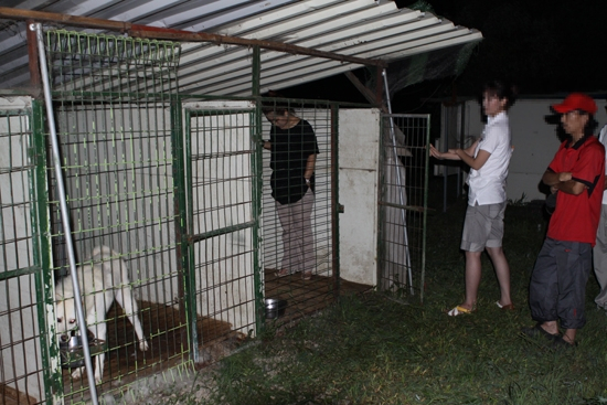훈련소에 맡긴 개, 죽은채로 견주손에...
