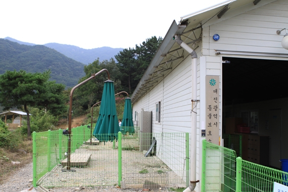 지자체운영 유기동물호소 환경 및 보호실태-대전시