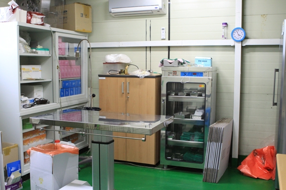 지자체운영 유기동물호소 환경 및 보호실태-대전시