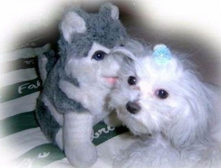 전국은 브라우니 열풍, 열애설, 건강악화설부터 음악프로그램 출연까지