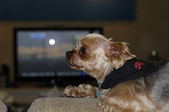영어방송 진행자, 강사, 사회자로 활약하는 '도로시 남' 인터뷰