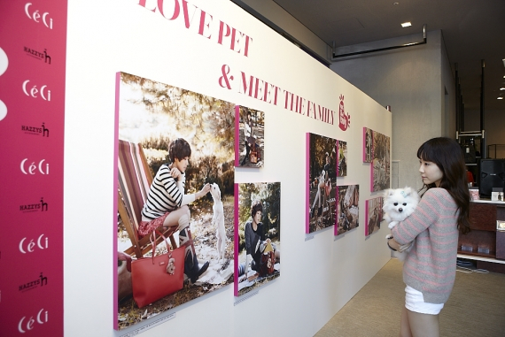 쎄씨, 유기견돕기 'I Love Pet' 카페 행사 개최