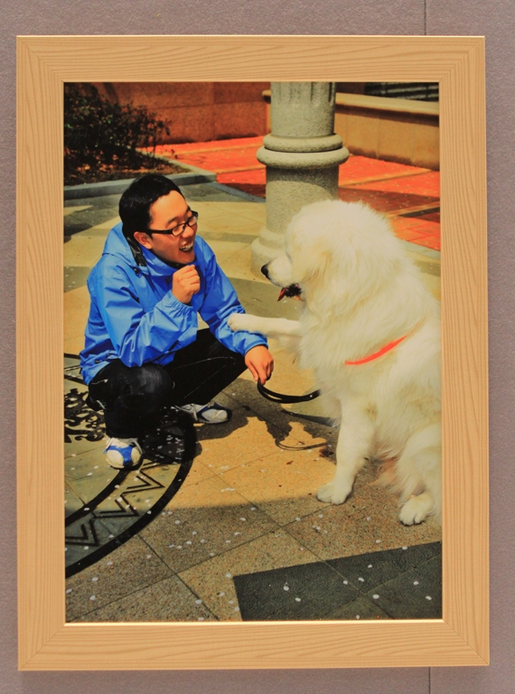 반려동물 작품전 성남시청에서 열려