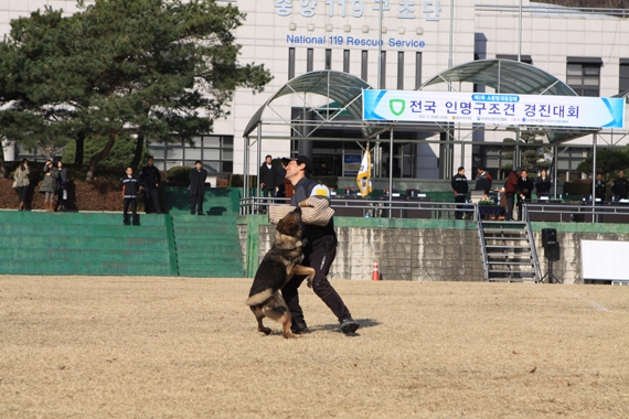 제2회 소방방재청장배 전국인명구조견 경진대회