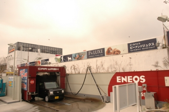 일본 오사카의  2013 재팬 펫 페어  현장을 가다.!!