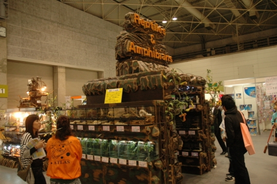 일본 오사카의  2013 재팬 펫 페어  현장을 가다.!!