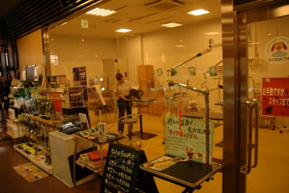 일본 오사카의  2013 재팬 펫 페어  현장을 가다.!!