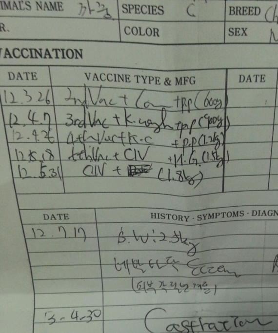 중성화 수술후 안깨어난 치와와, 법정소송으로..