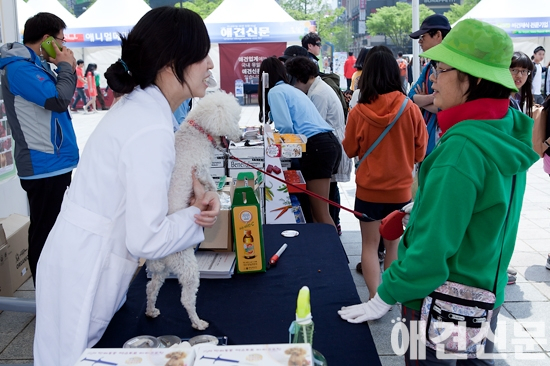고양시, 제1회 '동물보호축제' 개최
