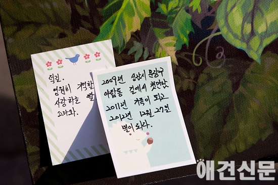 [포토] 동물보호축제 별이 된 고양이를 그리며