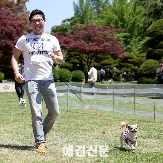 [포토] 애견한마당 '애견과 즐거운 달리기'