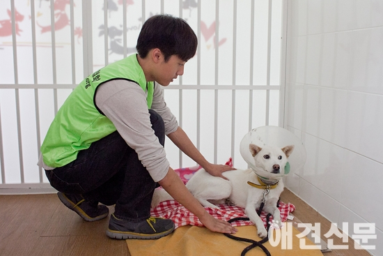 [포토]'땡큐센터' 2호점 오픈, 입양 기다리는 유기견