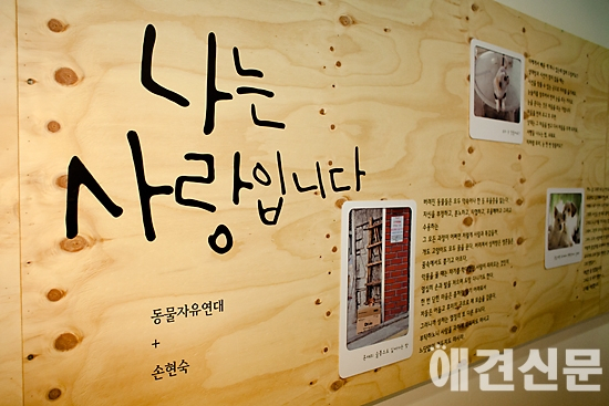 '제 3의 가족' 반려동물, 미술작품으로 만나요