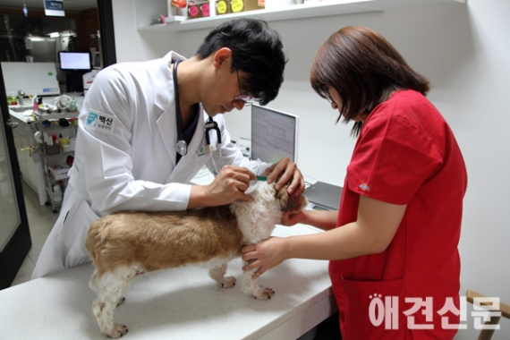 살인진드기의 공포, 그 예방법은?