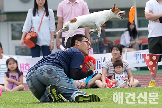 [포토] 이빨 날카롭게 세우고