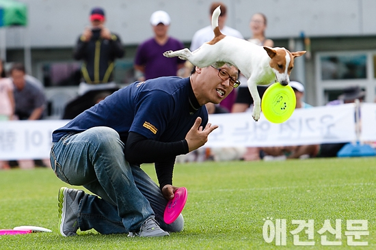 [포토] 소형견도 멋진 점프