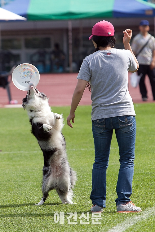 [포토] '점프 안해도 잡아요'