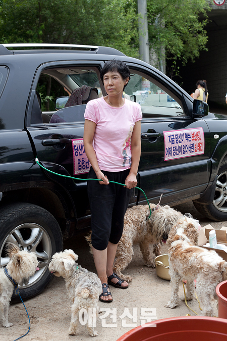 [현장피플] 보신탕 반대 캠페인 중인 박영신씨