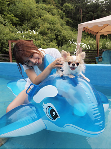 배우 최송현 '남친 대신 개남친'