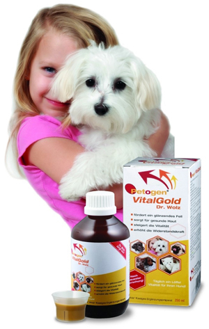 [인터뷰] '음식이 곧 약이다' 후코스코리아 고정록 대표