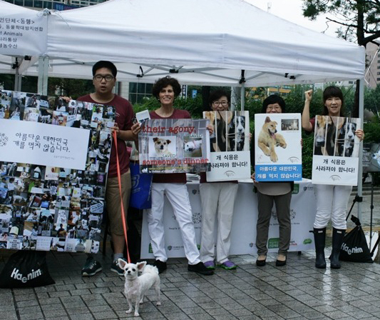 [인터뷰] 미국 IDA 국제동물보호 디렉터, 로빈 도먼