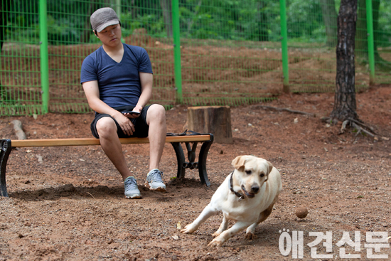 [포토]반려견놀이터 개장 '대형견 놀이터도 있어요'