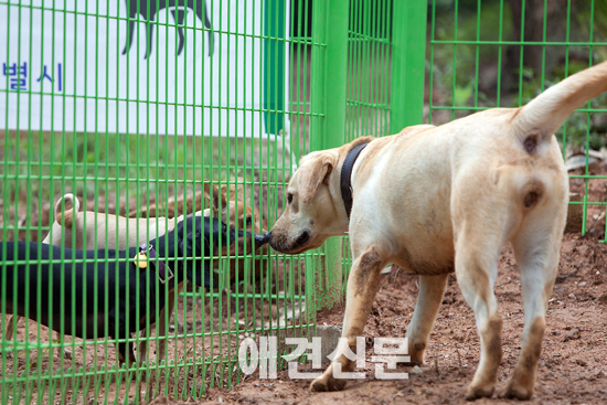 [포토]반려견놀이터 개장 '대형견 놀이터도 있어요'