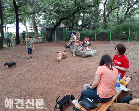 [포토]서울 어린이 대공원 반려견놀이터 개장 '시원한 녹지대'
