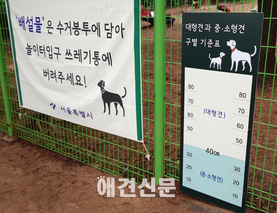 [포토]반려견놀이터 이모저모 '동물등록 확인중'