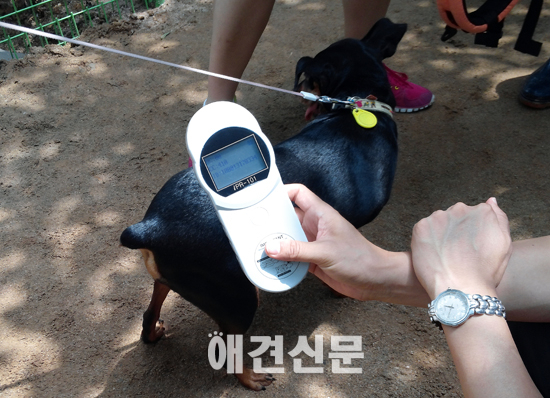 [포토]반려견놀이터 이모저모 '동물등록 확인중'