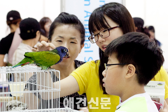 [포토]부산국제반려동물박람회, 동물들과 즐거운 시간