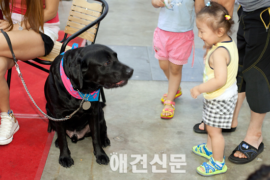 [포토]부산국제반려동물박람회, 동물들과 즐거운 시간