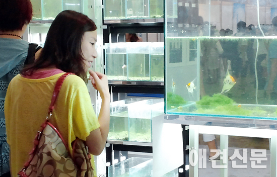 [포토]부산국제반려동물박람회, 동물들과 즐거운 시간